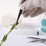 FDA Products Imports